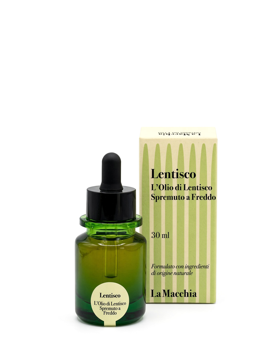 Lentisco